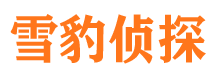 临高外遇出轨调查取证